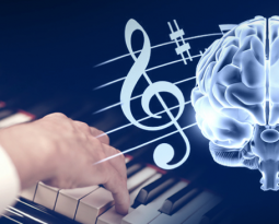 Músicos possuem área cerebral mais desenvolvida